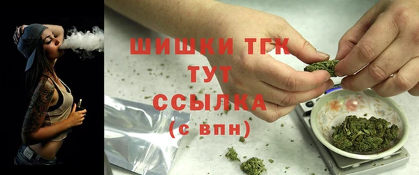 PSILOCYBIN Кодинск
