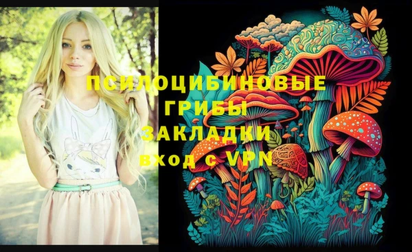 PSILOCYBIN Кодинск