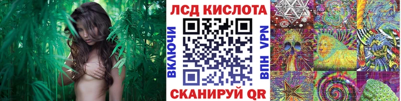 где найти наркотики  Дубна  Марки 25I-NBOMe 1,5мг 