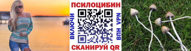 Псилоцибиновые грибы Magic Shrooms Дубна
