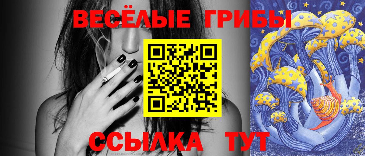 Псилоцибиновые грибы Magic Shrooms Дубна