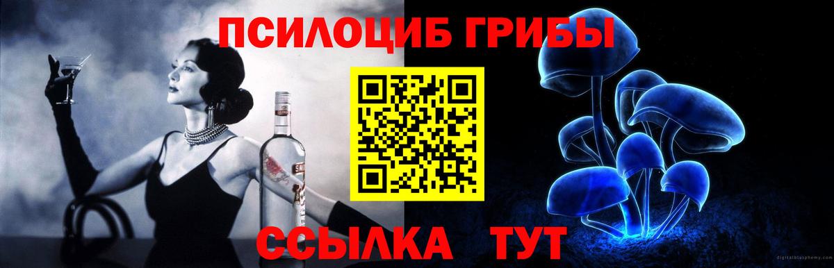 Дубна  Псилоцибиновые грибы мицелий  Вход с VPN 